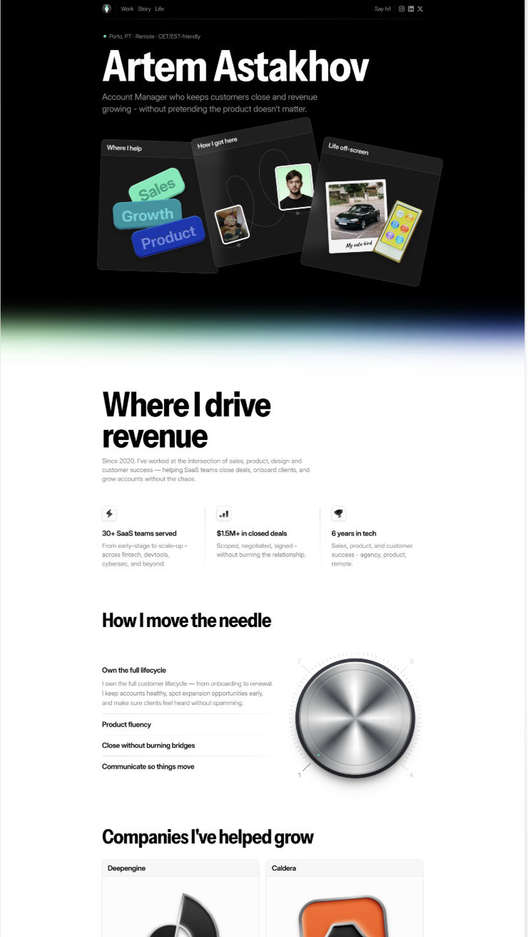Portfolio — Identity system